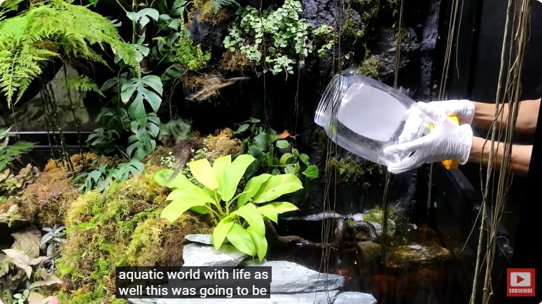 거대한 수조에 열대우림 환경을 조성해놓으면 생기는 일 - 3 | 인스티즈