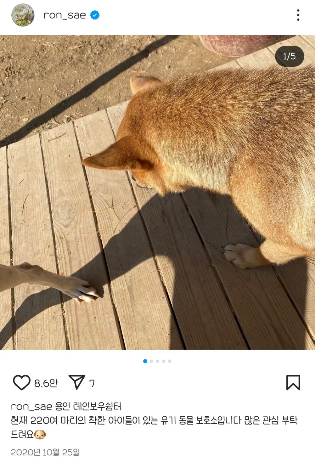 너무 안타깝다.. 김새론양은 이렇게나 마음이 따뜻한 사람이었는데.. | 인스티즈