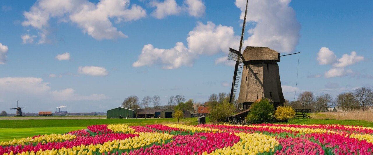 네덜란드에서 1900년전 만든 얼굴형태의 램프가 발견됨 | 인스티즈