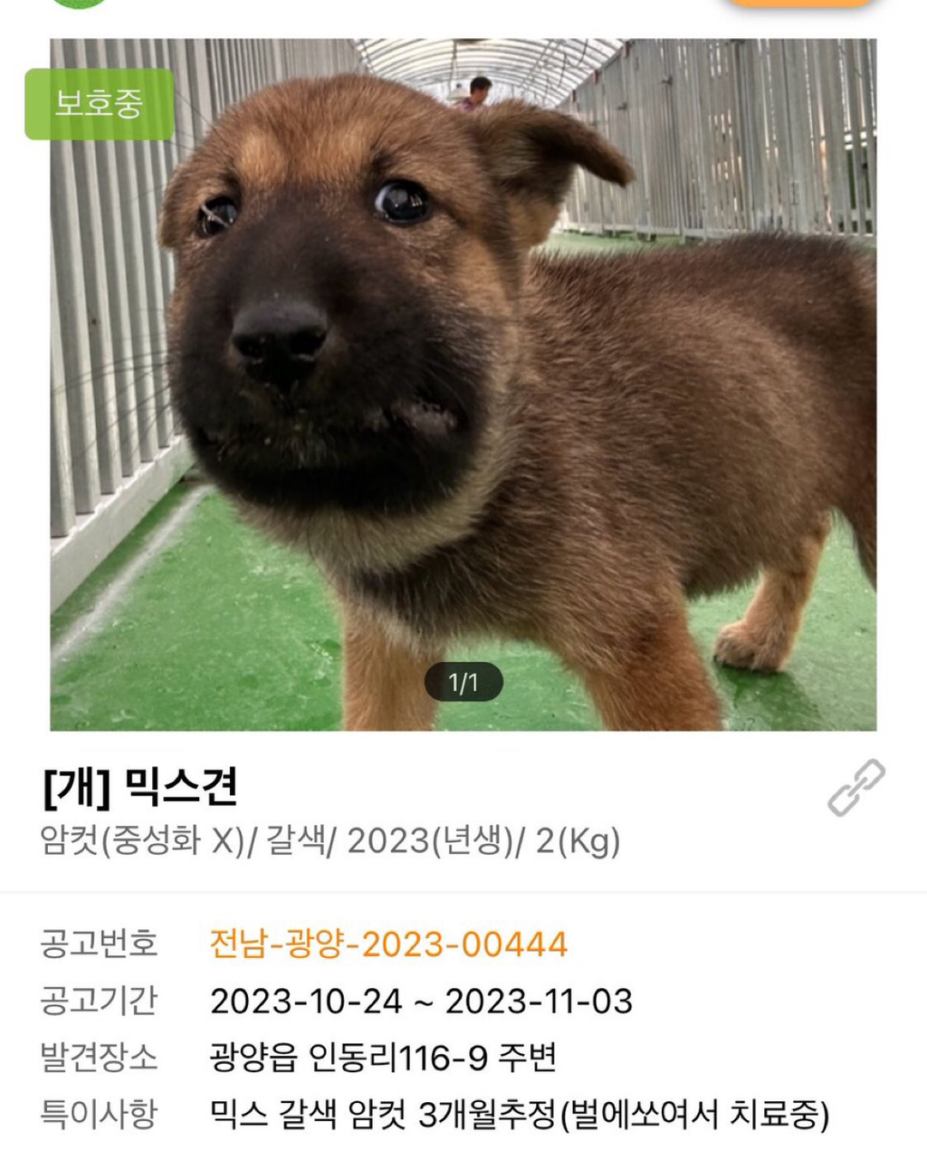 포인핸드 사진 이게 뭐야 | 인스티즈
