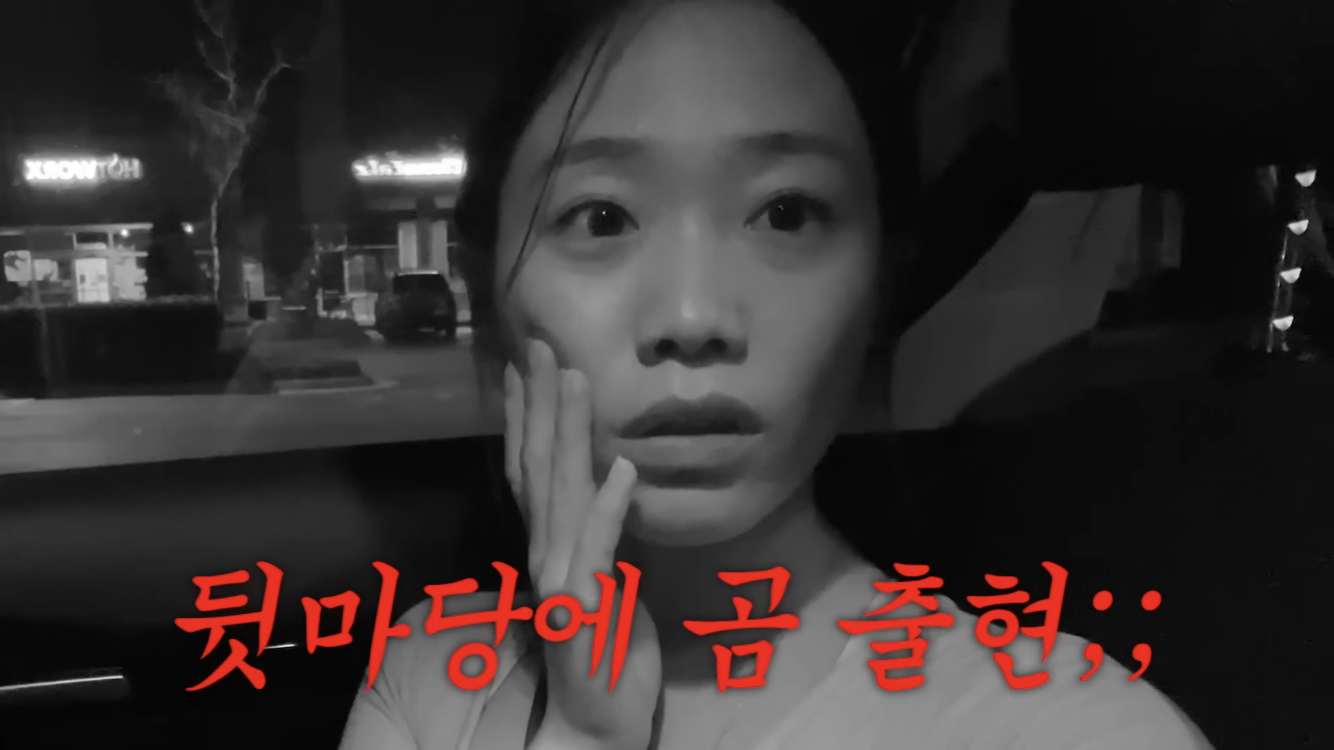 미국 이민갔는데 집에서 곰 나옴… | 인스티즈