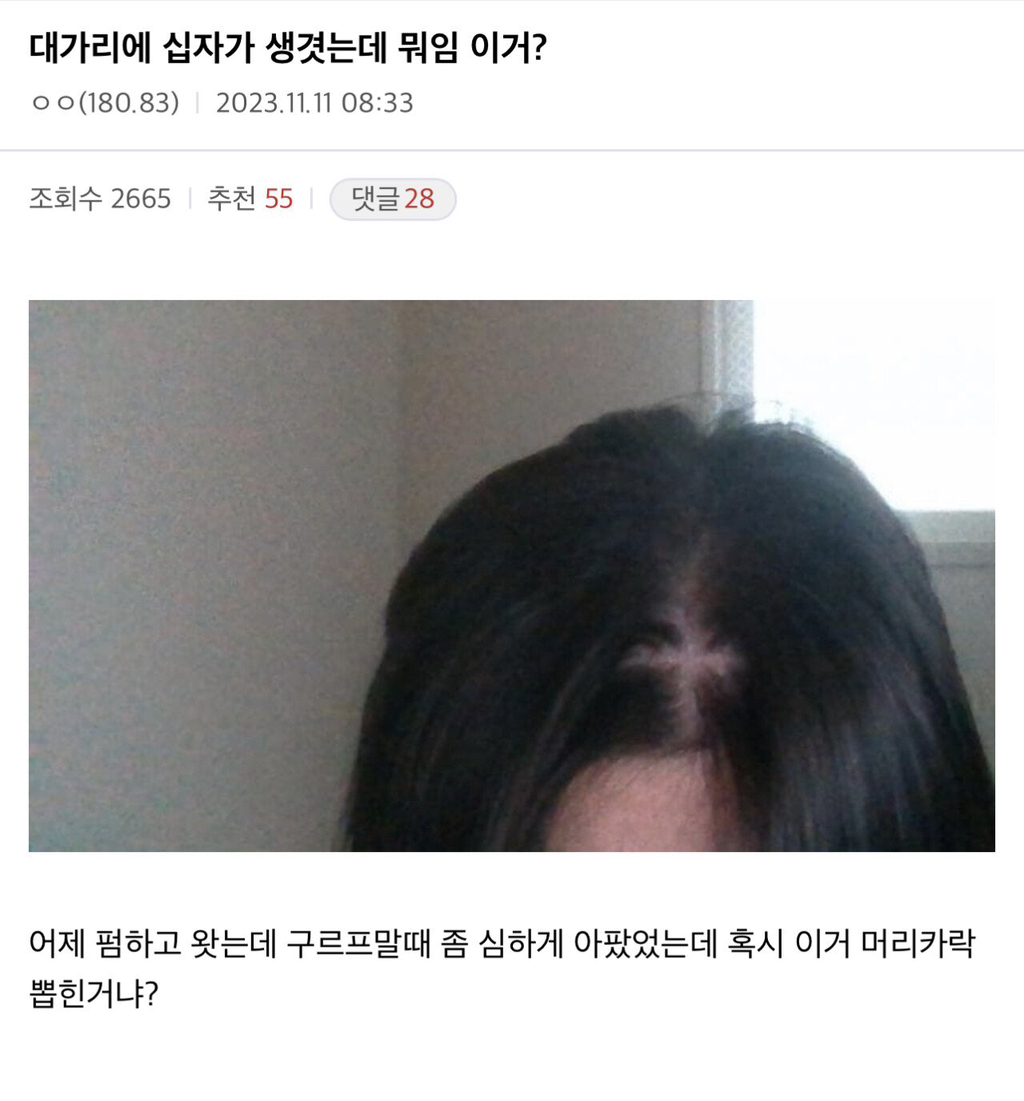 헤어갤러리 이미지