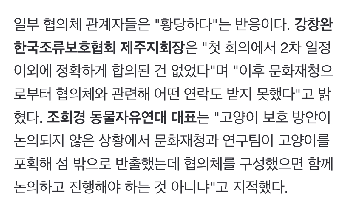 주인도 있는 마라도 고양이가 강제 방출 되어 열흘 넘게 갇혀 있는 중 | 인스티즈