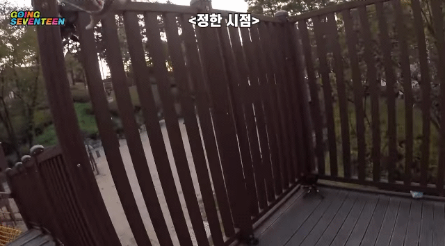 아이돌 자체컨텐츠 팀이랑 아이돌이랑 잘 맞을때 gif | 인스티즈