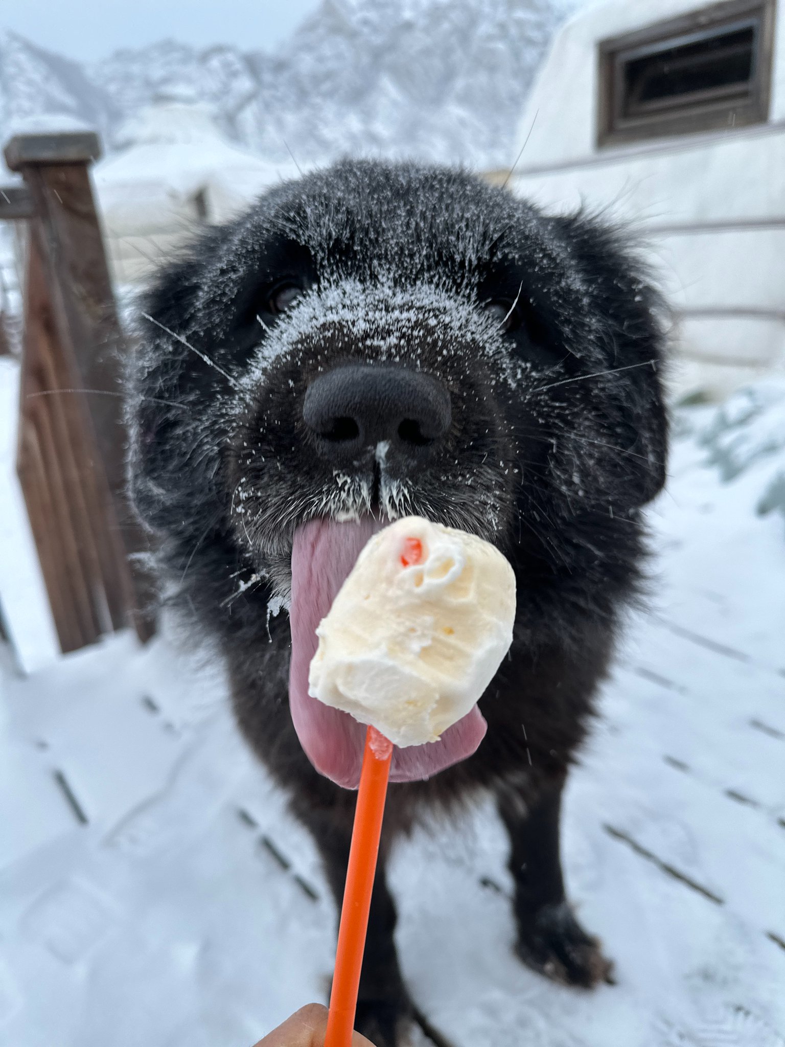 몽골에 가면 생각 정리 하게 돼서 참 좋아.twt | 인스티즈