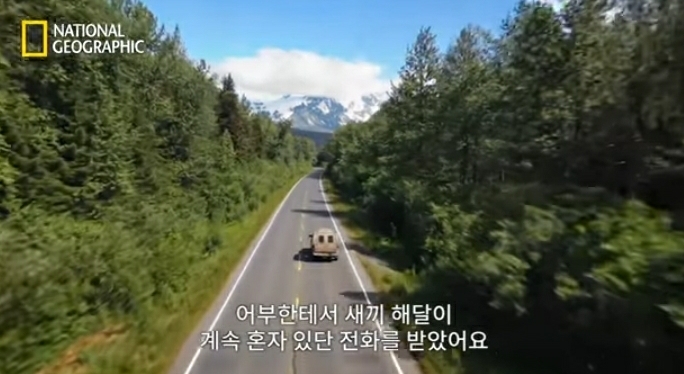 어미잃은 생후 1일차 새끼 해달 구하기 | 인스티즈