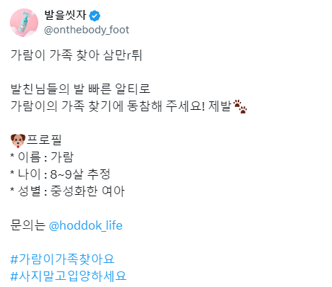 선한 영향력 펼친 발을씻자 트위터 담당자 (펫샵 현실+) | 인스티즈