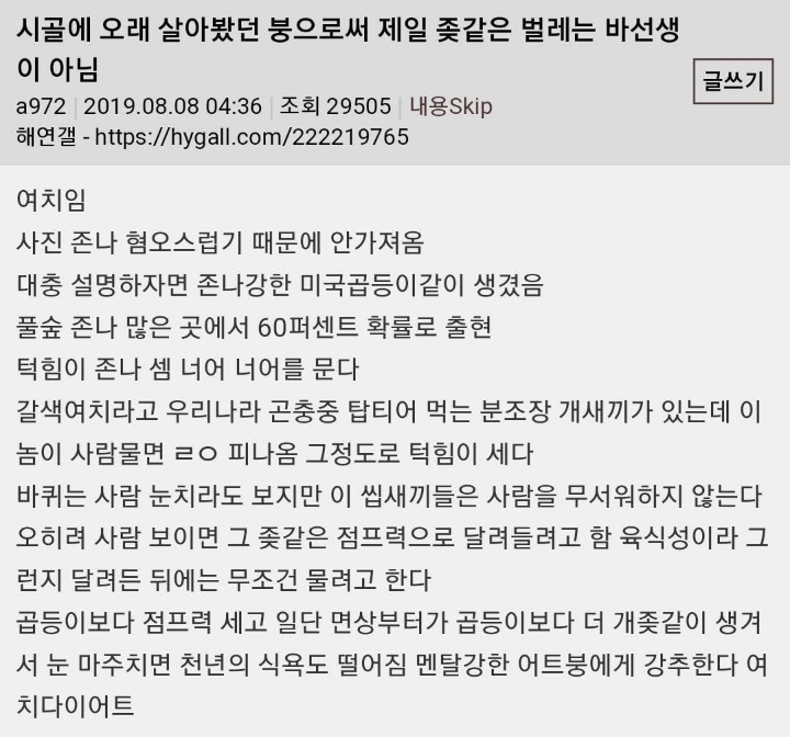 시골에서 살면서 제일 같았던 벌레는 바선생이 아님 | 인스티즈