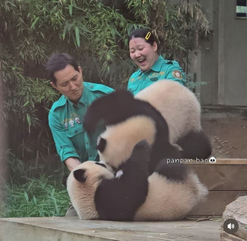 서로 알콩달콩 사이좋은 루이 후이바오 🐼 | 인스티즈