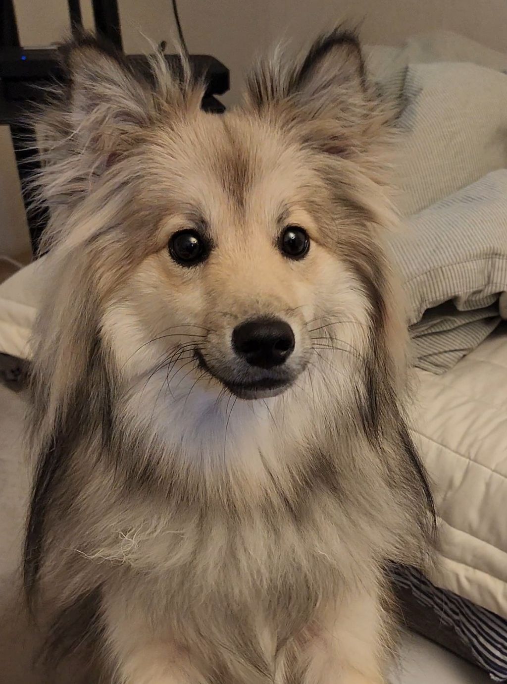 시장에서 만두 사는데 사장님이 잘생겼다고 만두를 더 줬어요 | 인스티즈