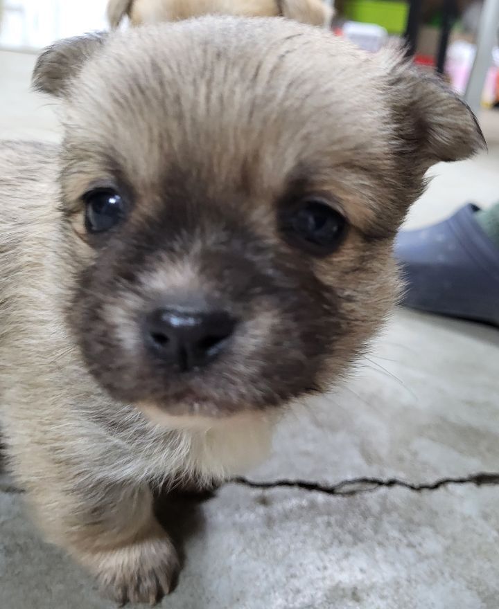 (공지라니... ++추가)새로생긴 회사 복지.. 미쳐서 도저히 일을 못하겠네.. (추가....)++추가 | 인스티즈