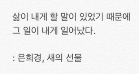 아무리 마음이 아파도 뒤돌아보지 마세요.twt | 인스티즈