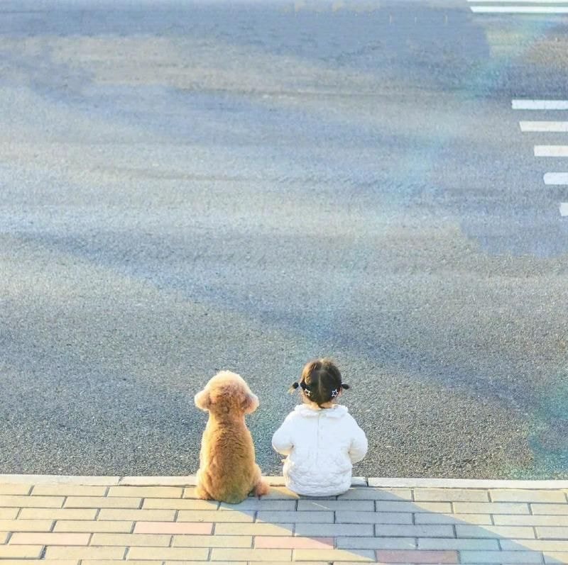 딸 키우는 집에서 강아지를 키우면 생기는 일 | 인스티즈