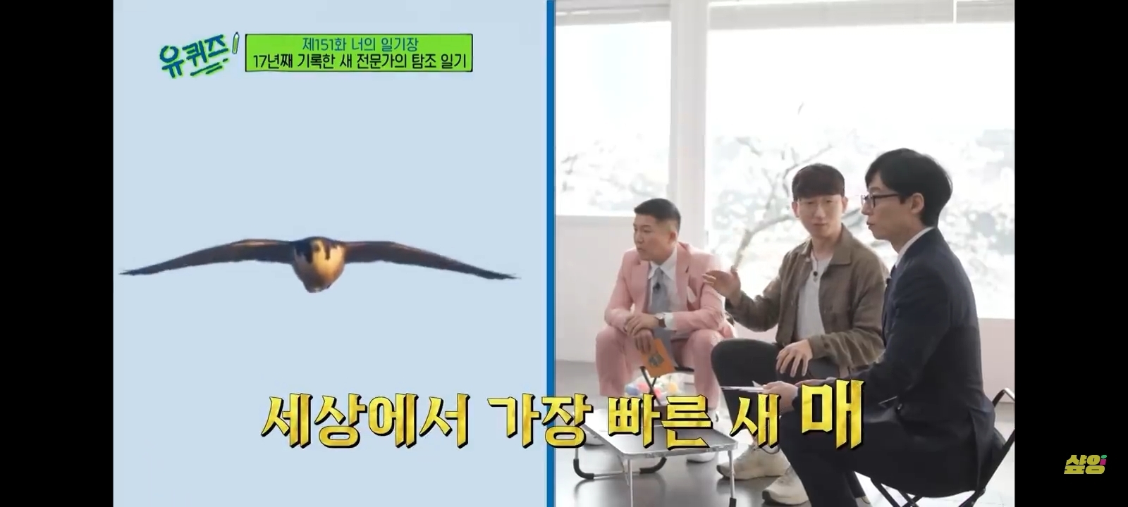 세상에서 가장 빠른 새라는 이 새 - 악플달면 쩌리쩌려버려 - ＊여성시대＊ 차분한 20대들의 알흠다운 공간