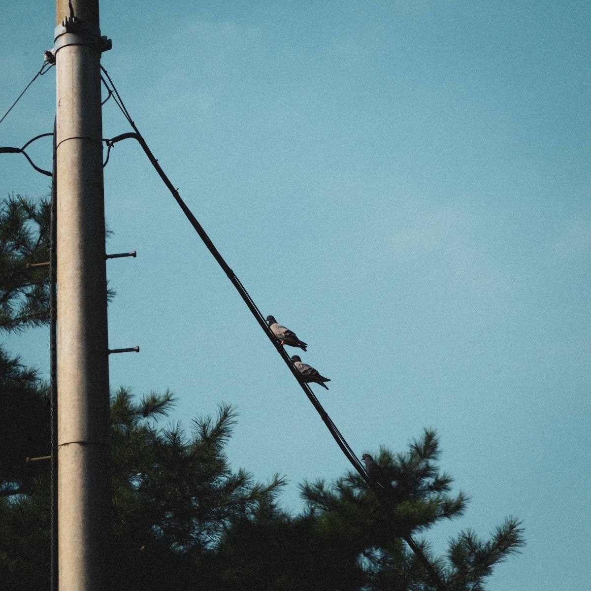 조울증 환자가 산책하면서 찍고 다닌 사진들 | 인스티즈