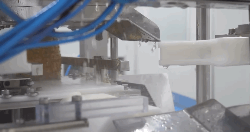 델몬트 파인애플 공장 견학🍍🤓 | 인스티즈