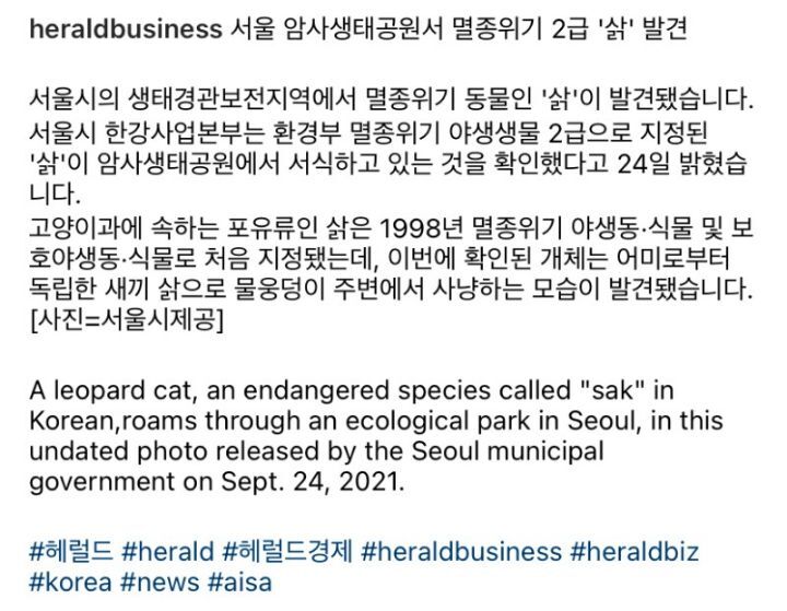 서울 암사생태공원에서 칡 발견 | 인스티즈
