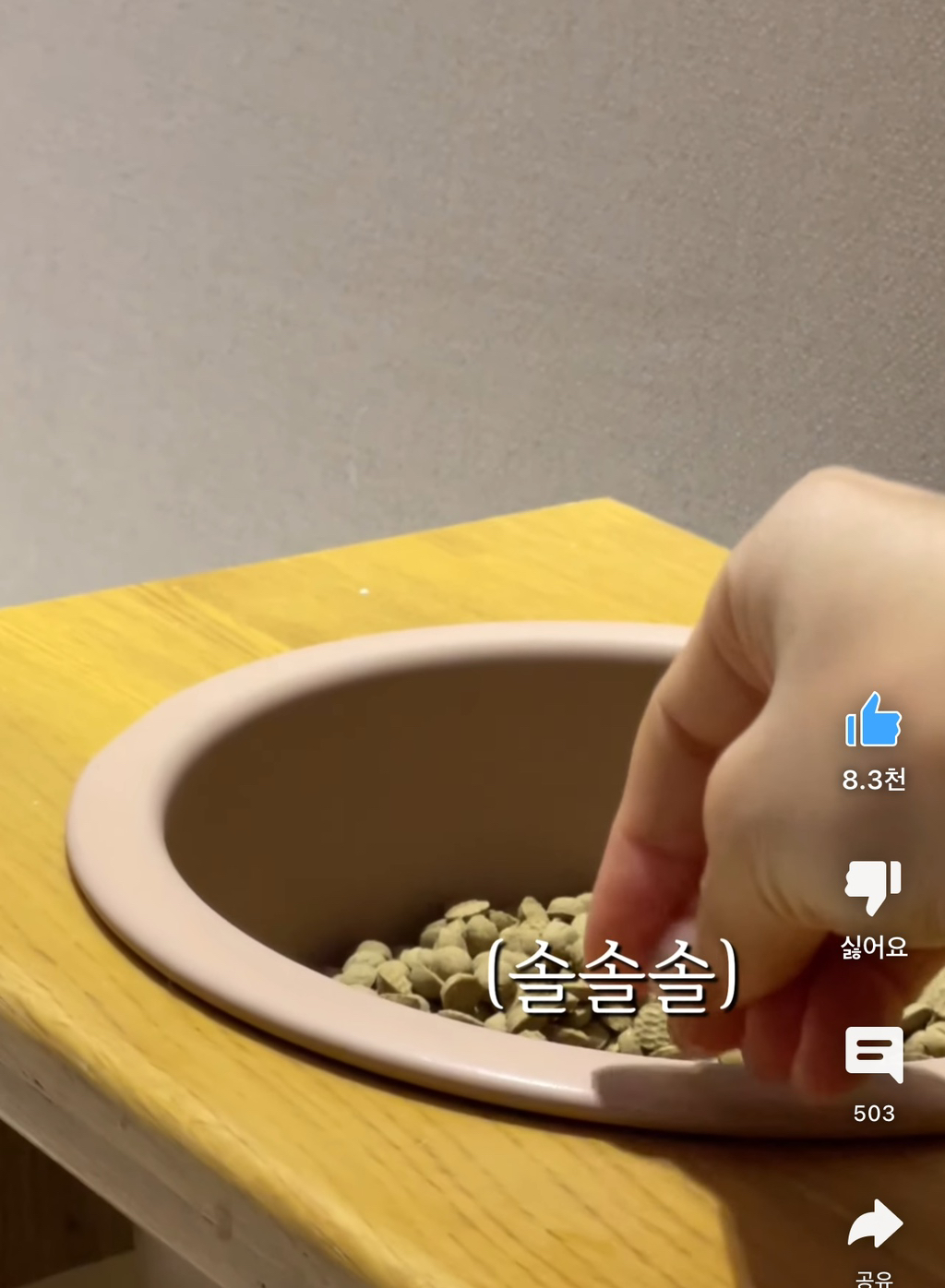착한강아지 이미지