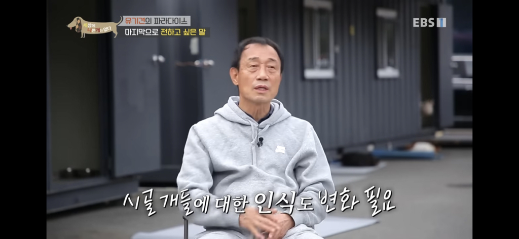 [세상에나쁜개는없다] 유기견의 파라다이스 | 인스티즈