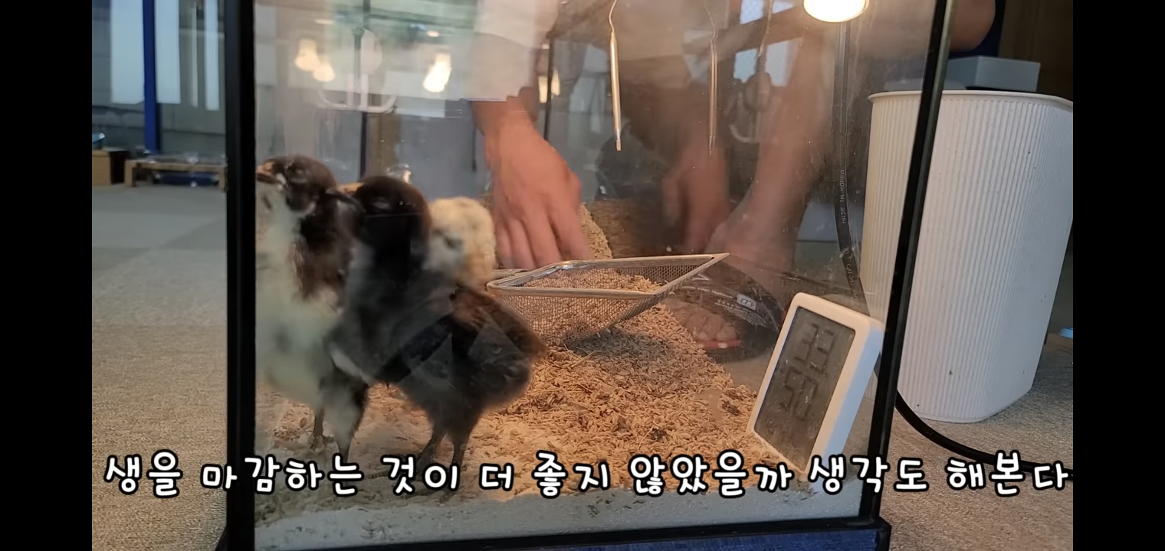 오늘자 폭력적이고 불쌍한 영상 올린 유튜버 매탈남.jpg | 인스티즈