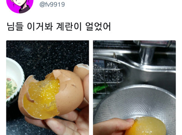 다 얼었던 2018년 그때의 겨울 | 인스티즈