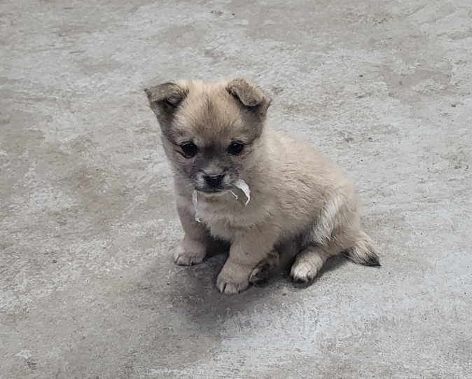 (공지라니... ++추가)새로생긴 회사 복지.. 미쳐서 도저히 일을 못하겠네.. (추가....)++추가 | 인스티즈