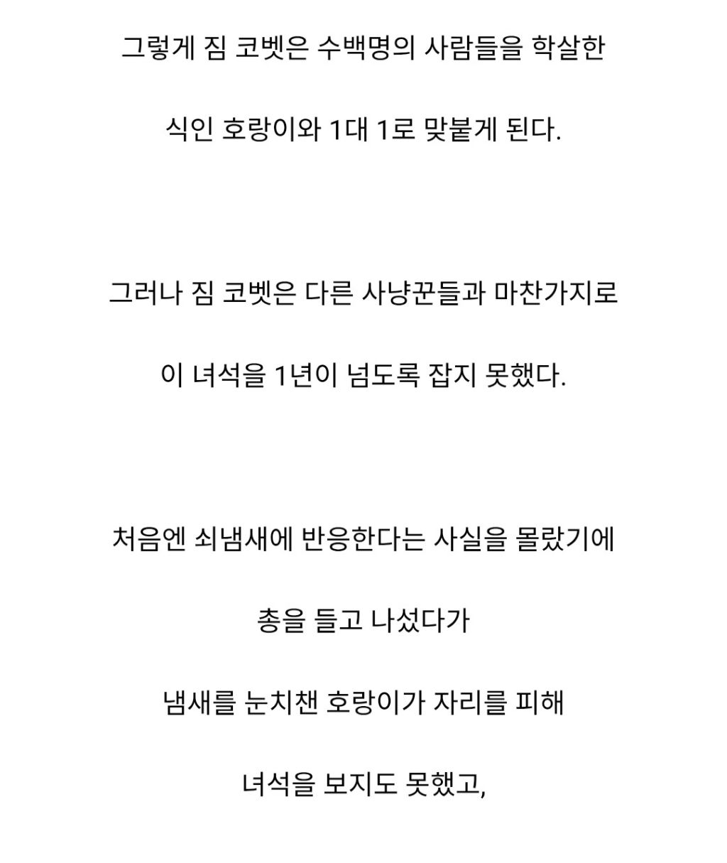 인도와 네팔을 다니며 약 400여명을 죽인 호랑이 | 인스티즈