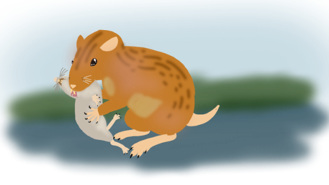 햄스터가 외계행성의 지배자가된 세계관 | 인스티즈