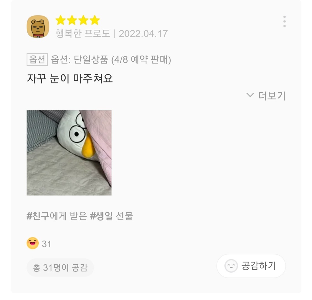 재치있는 오둥이 바디필로우 리뷰들 | 인스티즈