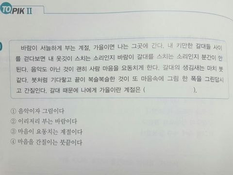 문학적 감이 있는지 알아보는 문제 | 인스티즈