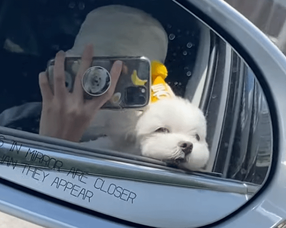 생일이 뭔진 모르겠지만 아무튼 신난 재롱이 | 인스티즈