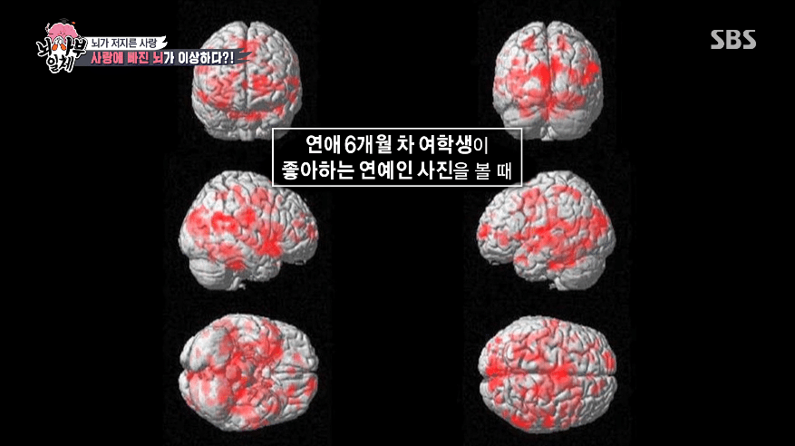 덕질하면 연애 잘 안하게 되는 과학적 이유 | 인스티즈