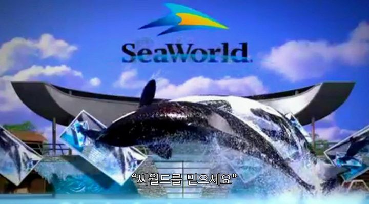 어느날 소방서에 고래가 조련사를 잡아 먹었다는 신고가 들어왔다 .jpg (스압주의) | 인스티즈