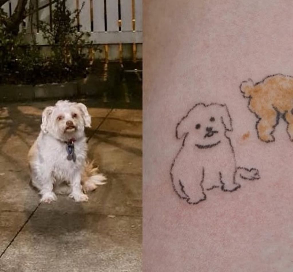 애매한데 비슷한 느좋 동물 타투들 | 인스티즈