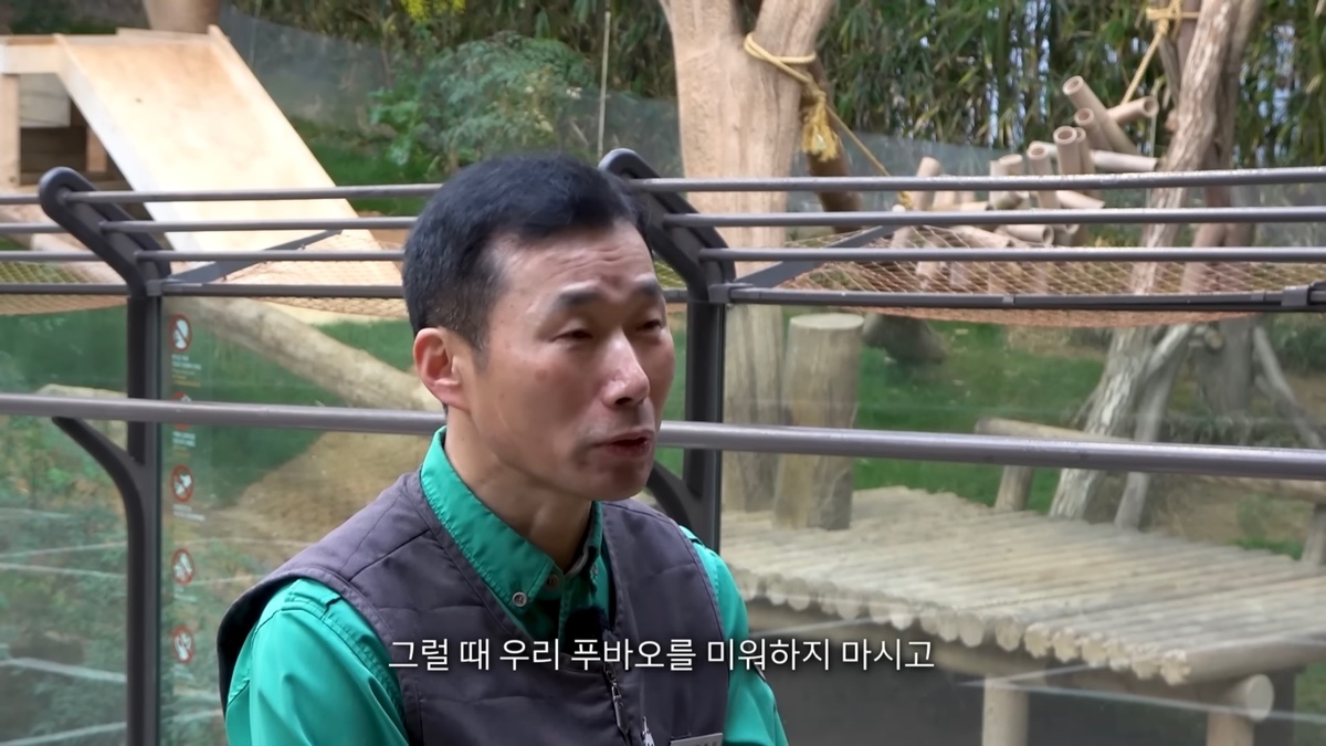 강바오가 중국 사육사에게 보내는 영상편지 (오열주의) | 인스티즈