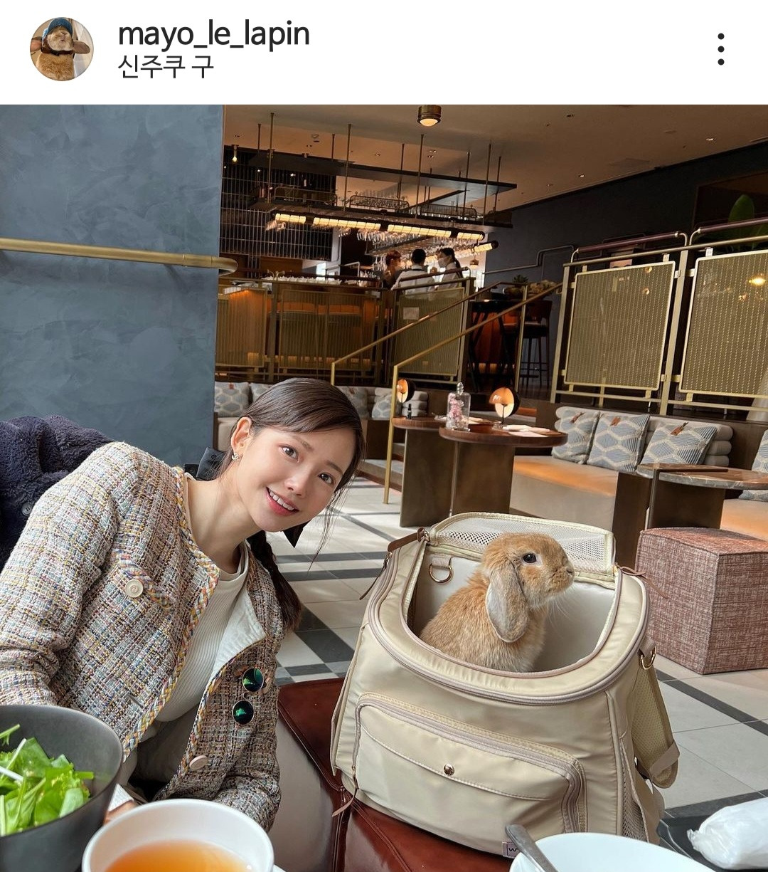하연수가 키우는 토끼.jpg | 인스티즈