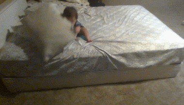 아기가 침대에서 내려오는 방법......gif | 인스티즈
