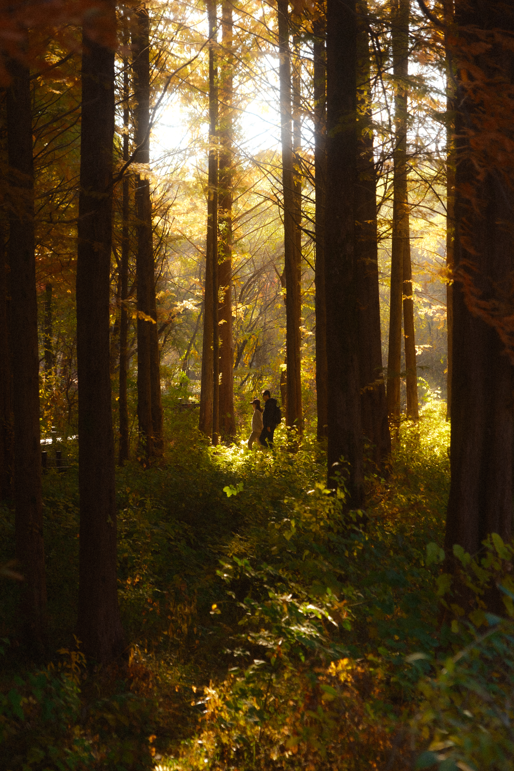 어제 담아온 가을 🍂 | 인스티즈