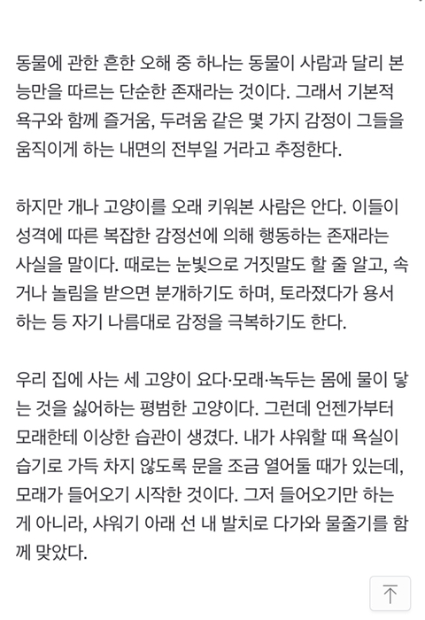 모래야, 물이 무서우면서 왜 욕실에 따라 들어오니? | 인스티즈