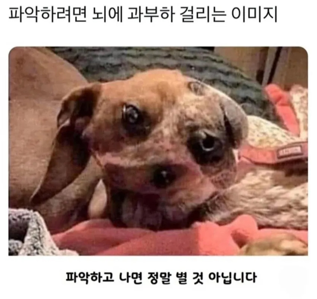 파악하려면 뇌에 과부하 걸리는 이미지.jpg | 인스티즈