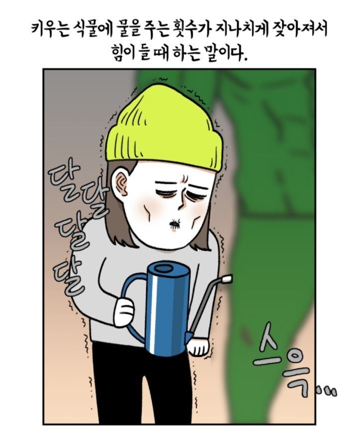 다육이 키우는 초보자들이 제일 많이 하는 실수 | 인스티즈