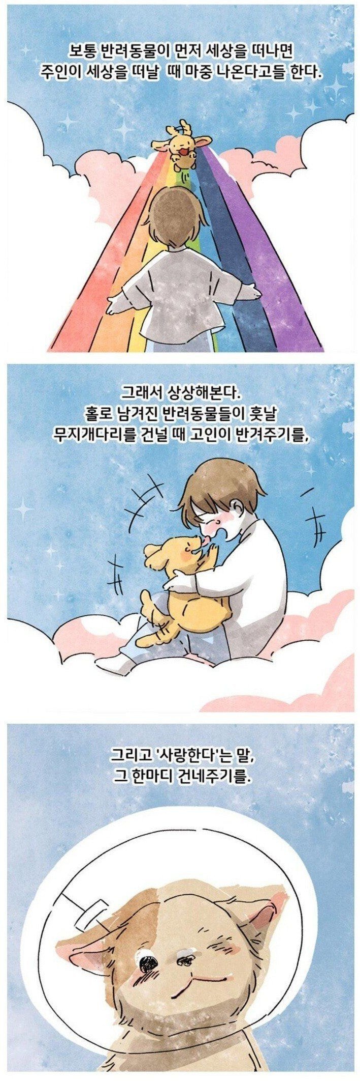 고독사 현장을 청소하는데 강아지가.toon | 인스티즈