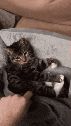 인형 끌어안고 자는 고영 | 인스티즈