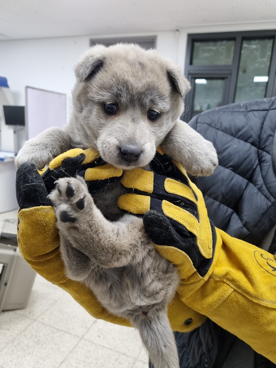 아궁이집 이미지