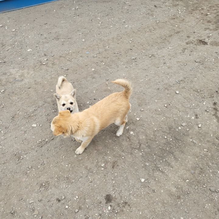 (공지라니... ++추가)새로생긴 회사 복지.. 미쳐서 도저히 일을 못하겠네.. (추가....)++추가 | 인스티즈