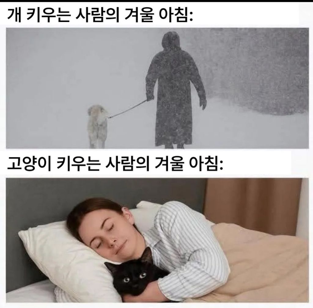 강아지 키우는 사람의 겨울아침/ 고양이 키우는 사람의 겨울아침 - 악플달면 쩌리쩌려버려 - ＊여성시대＊ 차분한 20대들의 알흠다운 공간