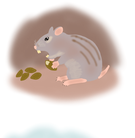 햄스터가 외계행성의 지배자가된 세계관 | 인스티즈