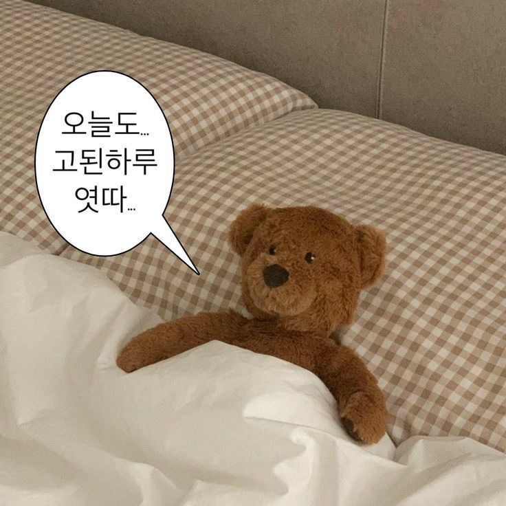 문장 뽑기: 인생에 힘이 되어주는 문장들이 들어있어요 | 인스티즈