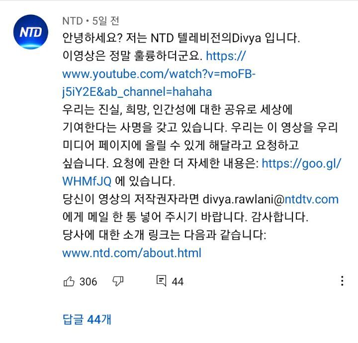미국 뉴스채널에서 컨택당한 hahaha네 삼색이 | 인스티즈