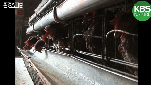 f5c36738ad90aaa4cbd856b5aad2e7dc3e9ed9e3